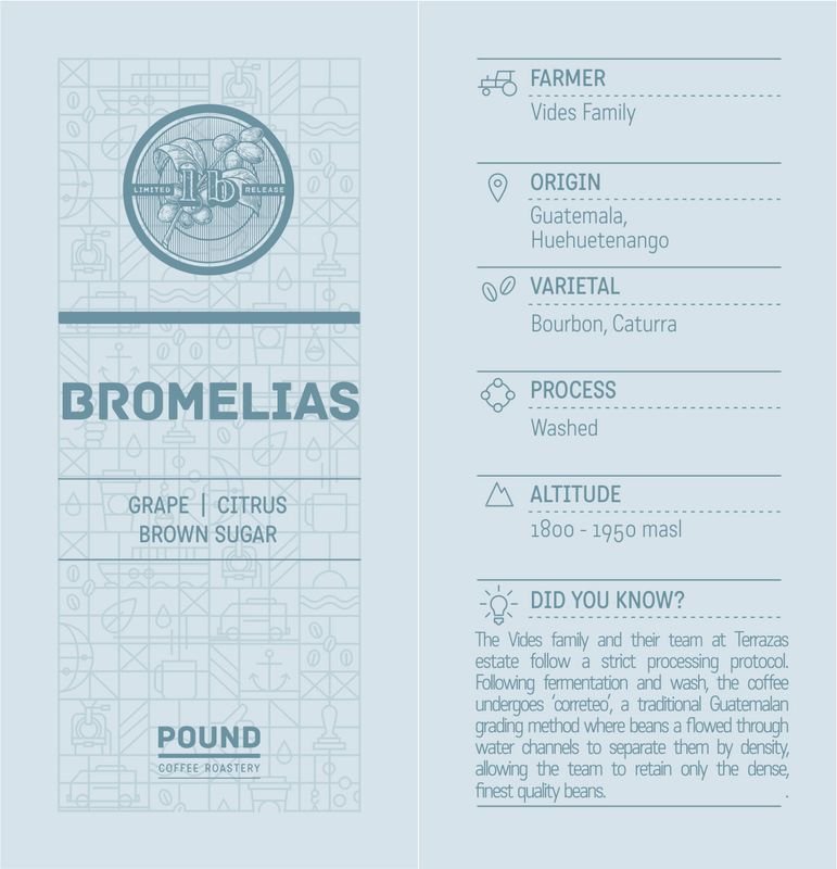 Guatemala: Bromelias - Filter (Limited Release)