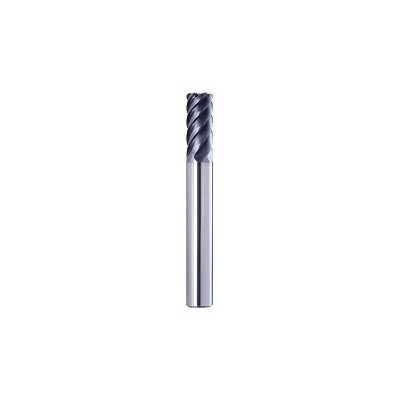 VHM Torusfräser XL Z= 6 50° Drall D= 10 x R 1.0mm
