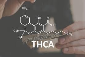 Exploring the Potential Benefits of THCA: The Raw Cannabinoid
