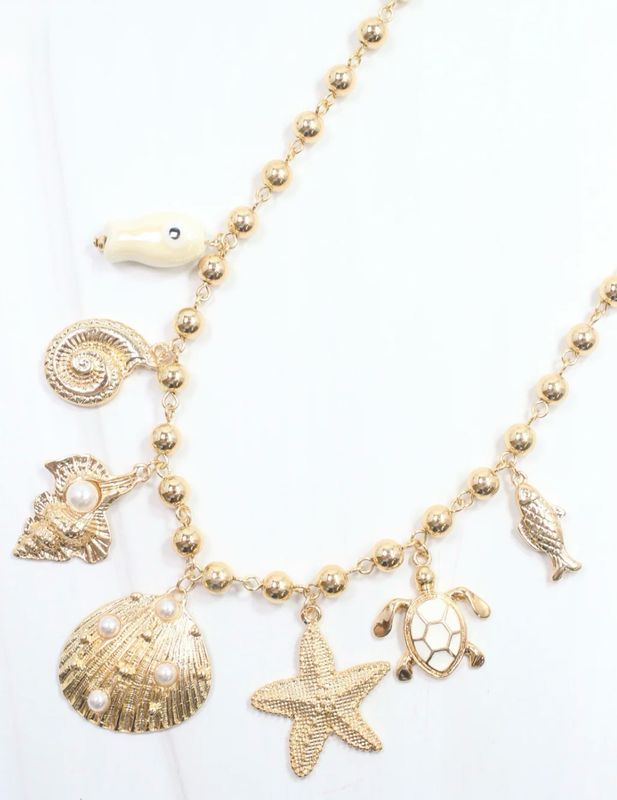 217 Accessories