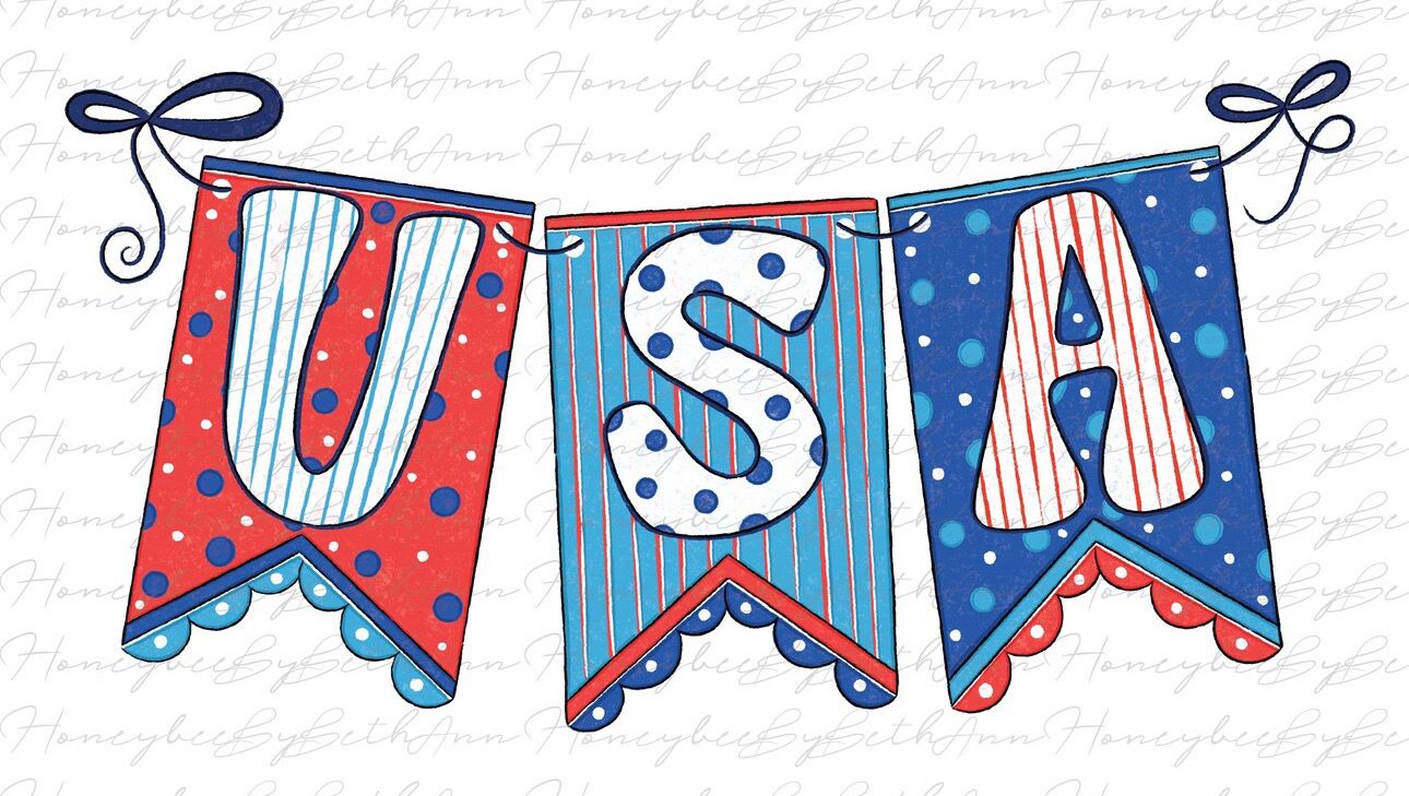 USA Pennant Shirt