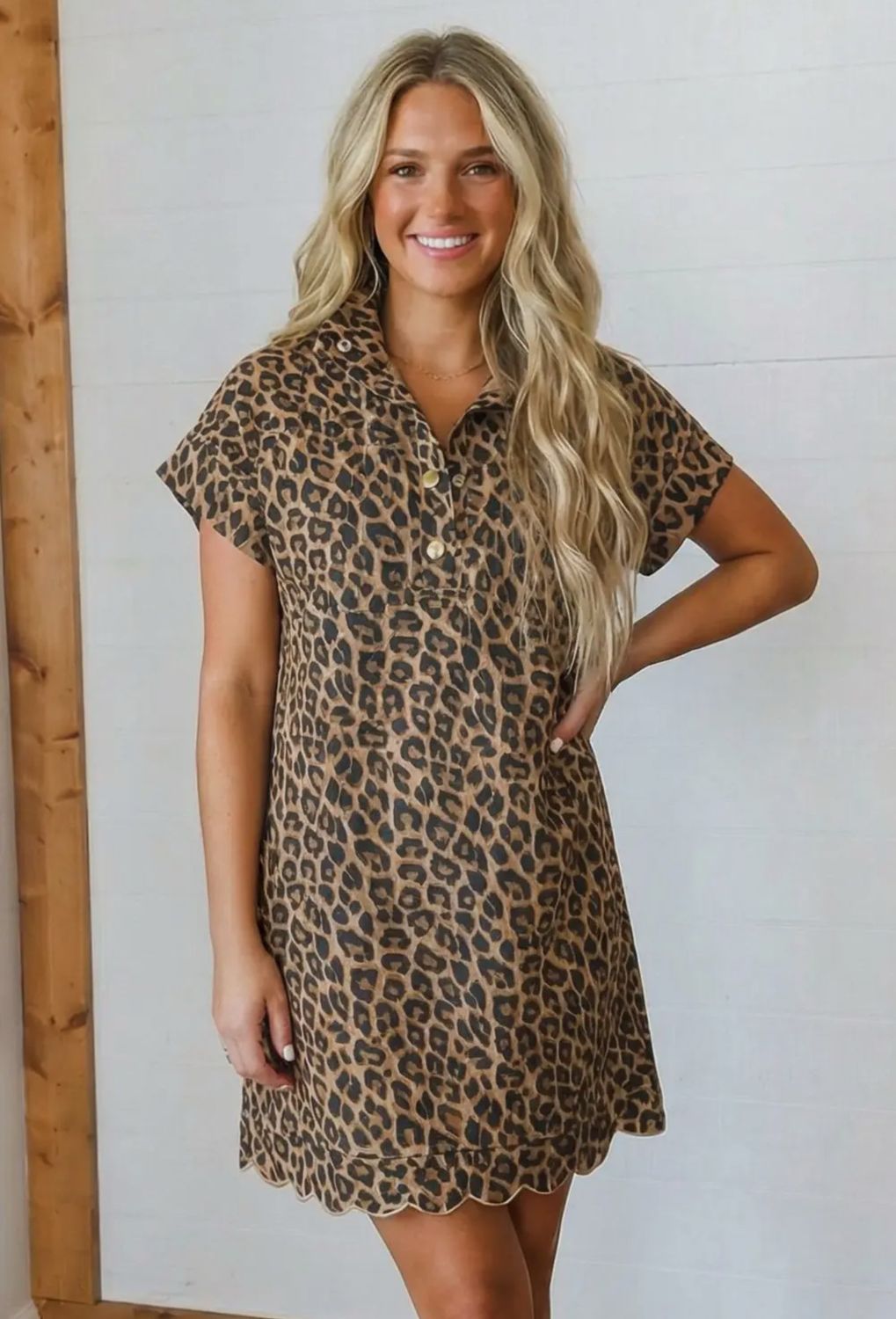 Collared Half Button Leopard Dress