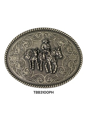 TBB3100PH***