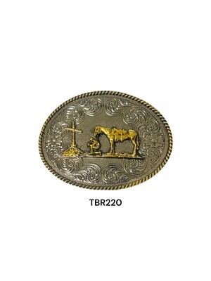 TBR220