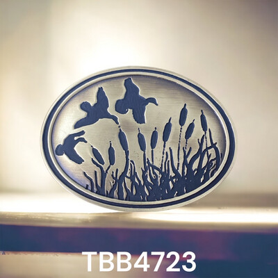 TBB4723***