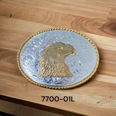 7700-01L-Disc