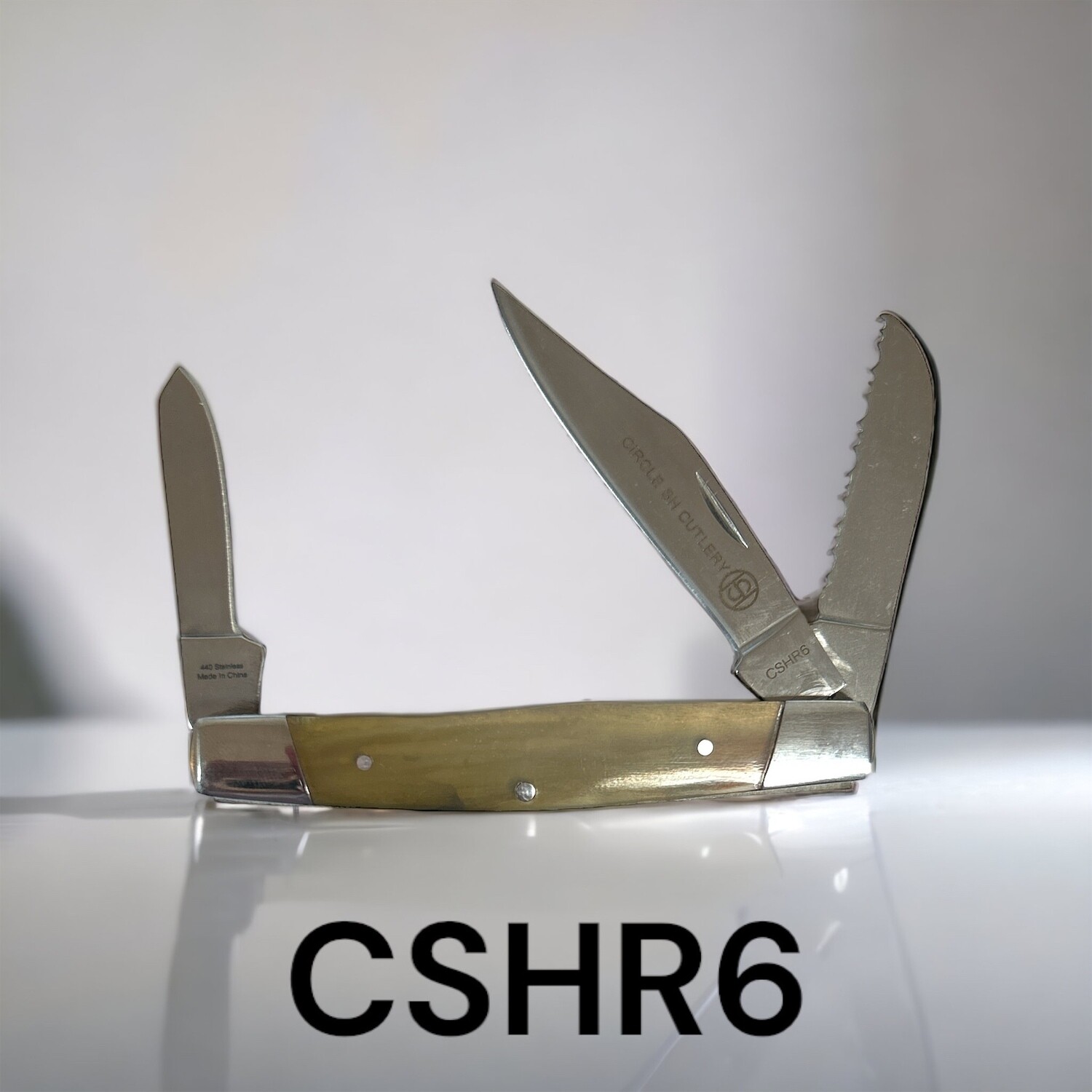 CSHR6