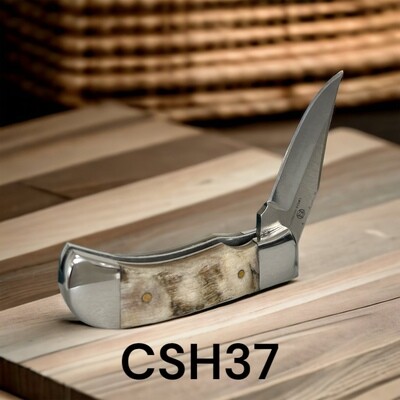 CSH37