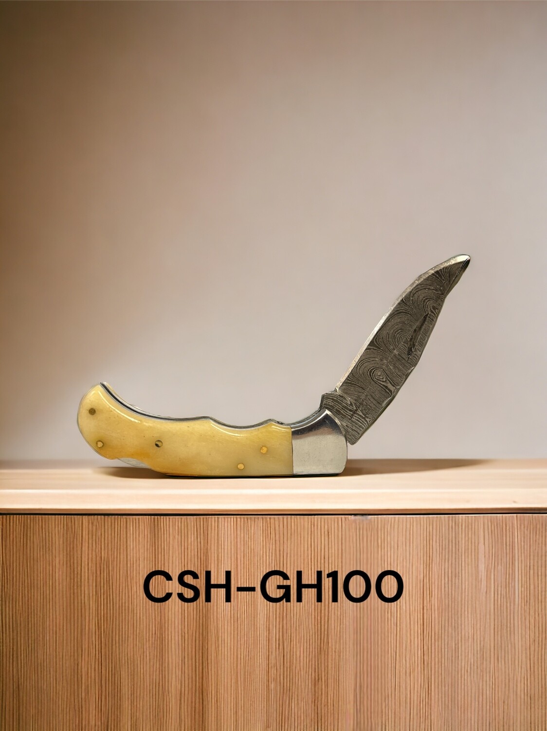 CSH-GH100