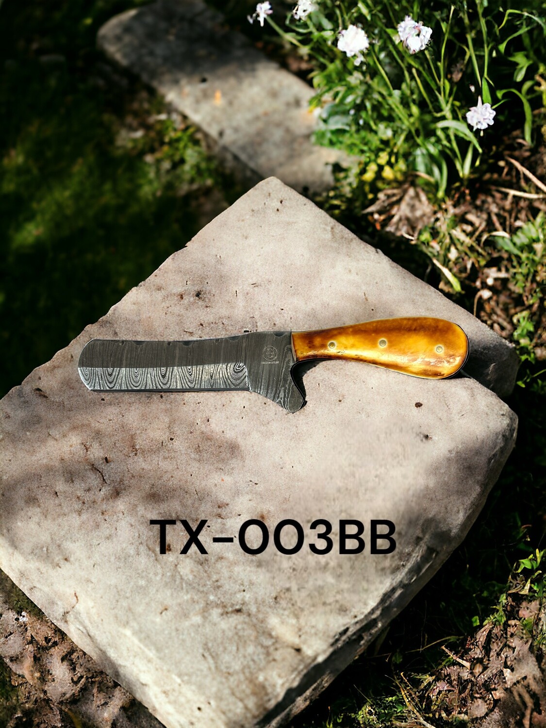 TX-003BB