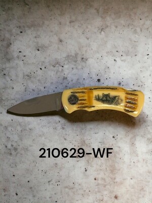 210629-WF***