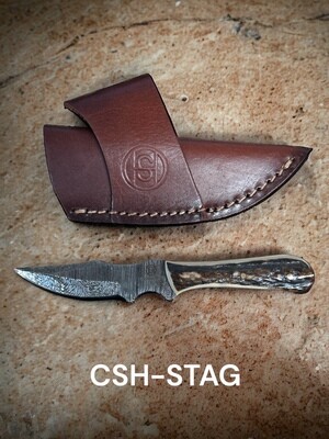 CSH-STAG