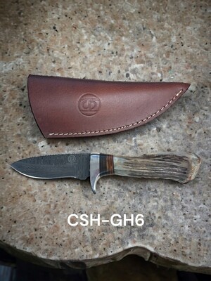 CSH-GH6