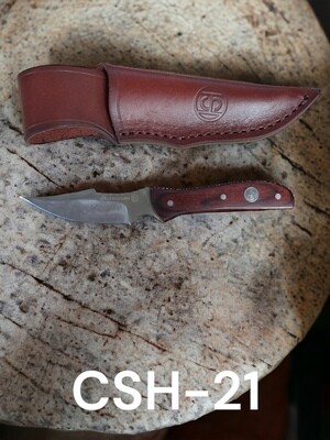 CSH-21