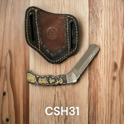 CSH31
