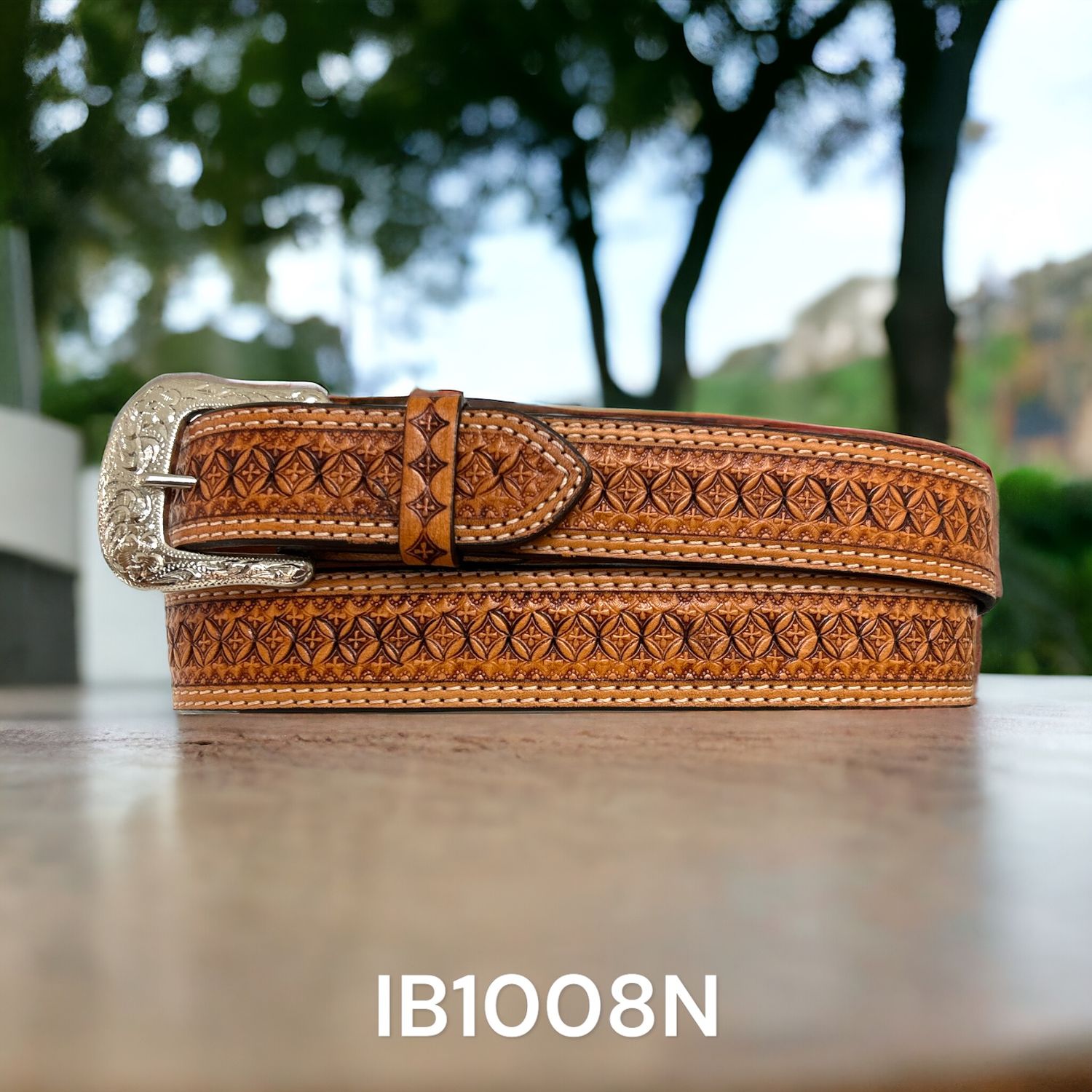 IB1008N
