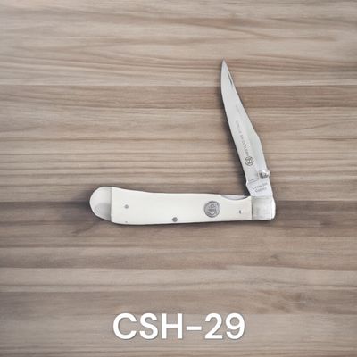 CSH-29