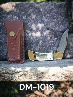 DM-1019