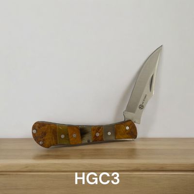 HGC3