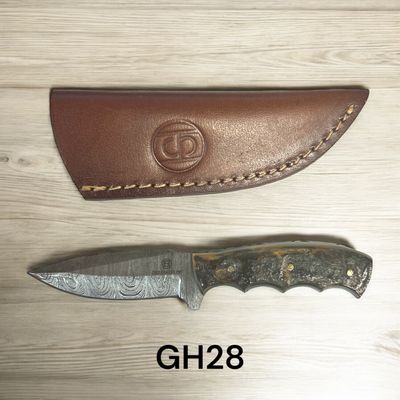 GH28