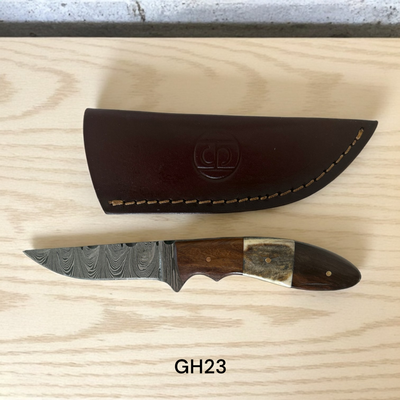 GH23