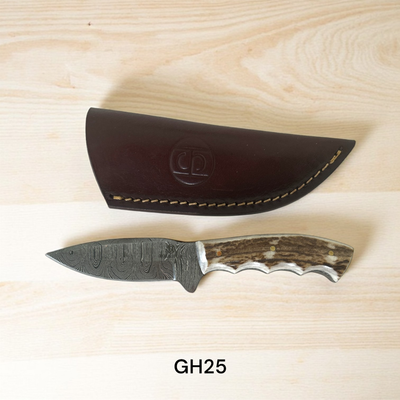GH25