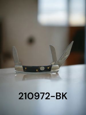 210972-BK-Disc