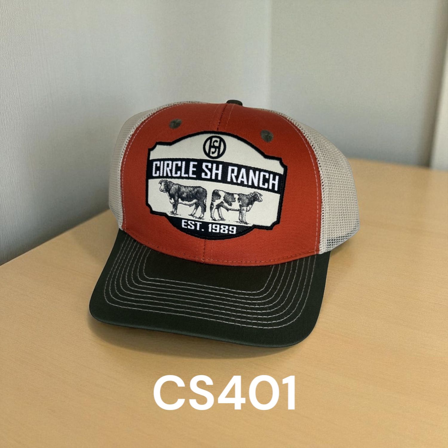 CS401