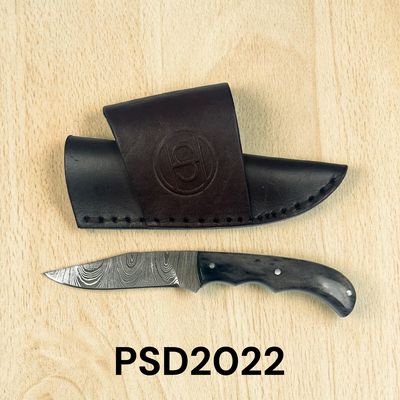 PSD2022