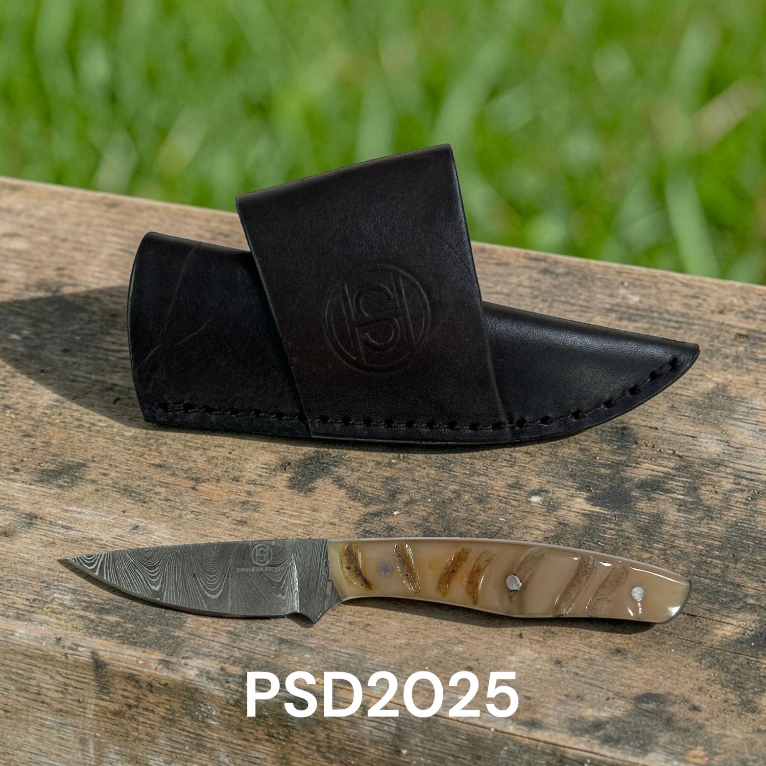 PSD2025