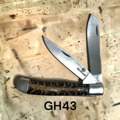 GH43