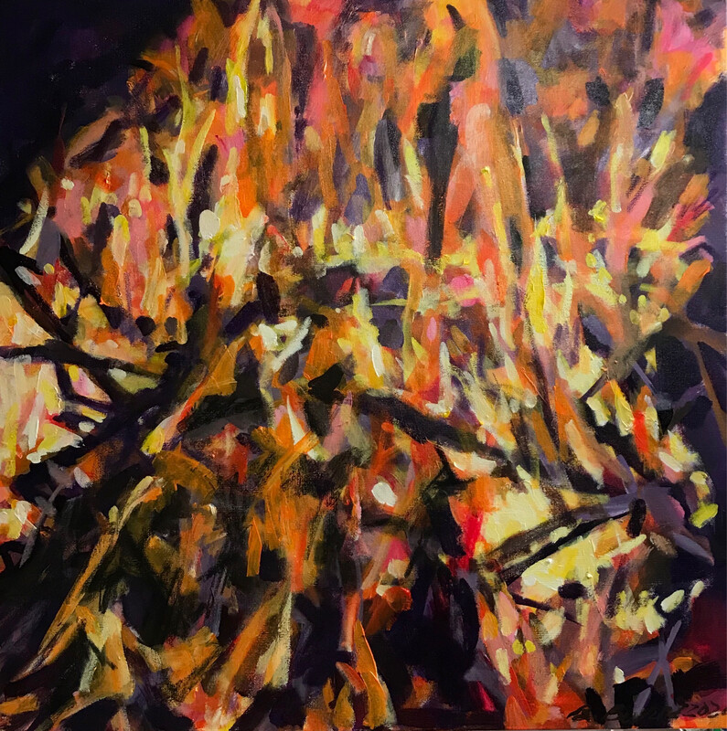 Passion - FIRE Series