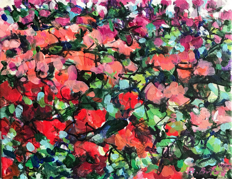 Geraniums