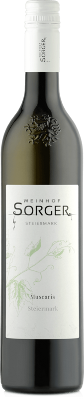 Muscaris Steiermark JG 2024