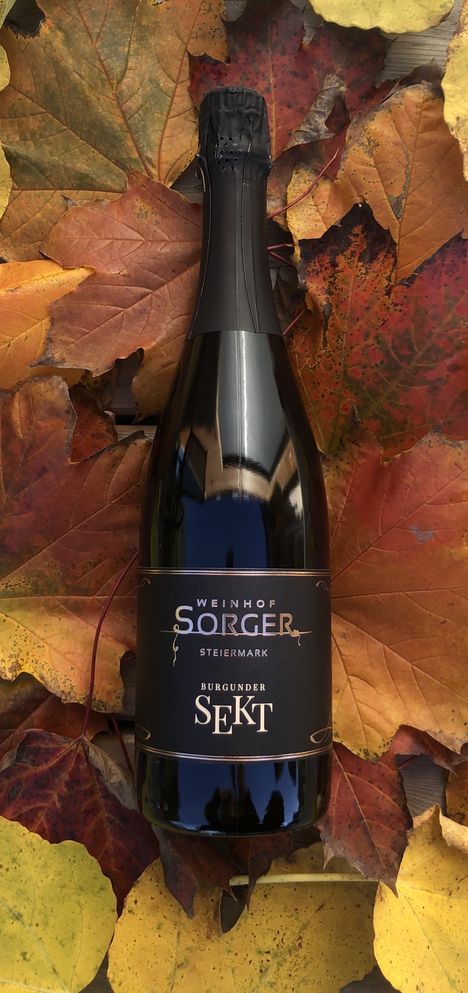 Burgunder-Sekt BRUT 2022