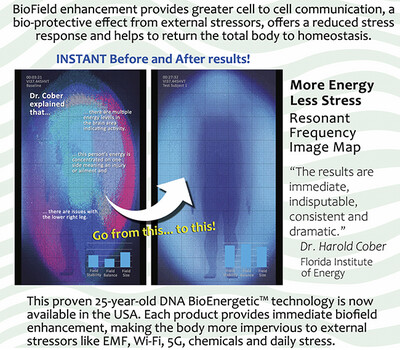 Bee Single Cell Power Pendant.