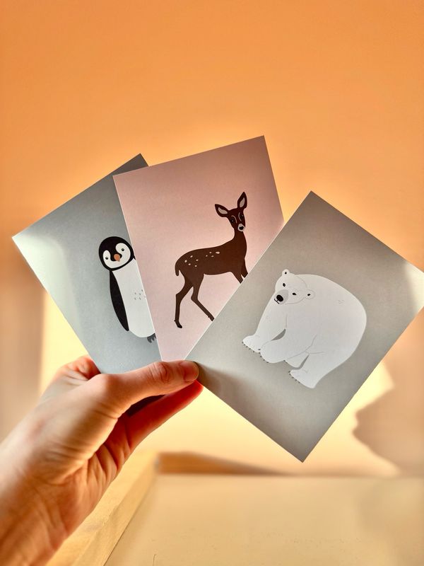 Postkarten-Set: Tiere