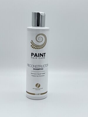 Shampoo Paint Reconstructor 250ml