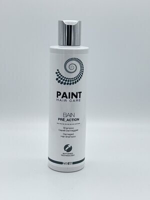 Shampoo Paint Capelli Danneggiati 250 ml