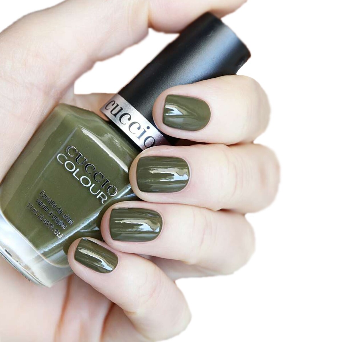 Colour - Branch Out  13 ml