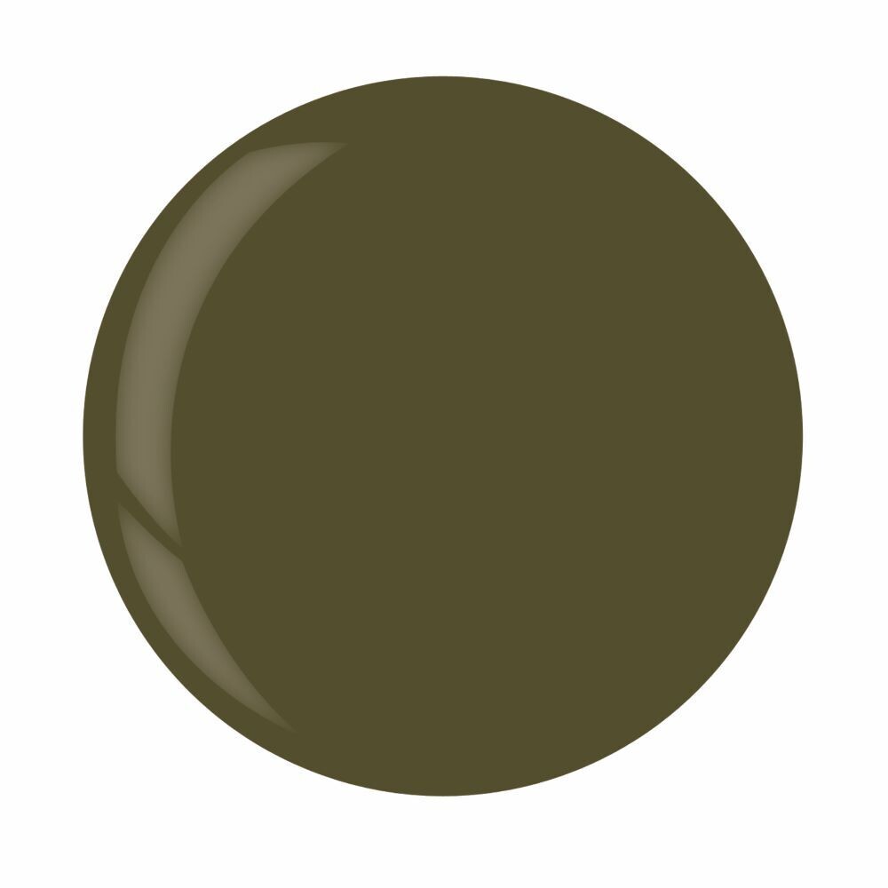 Dip Powder - Branch Out 45 g