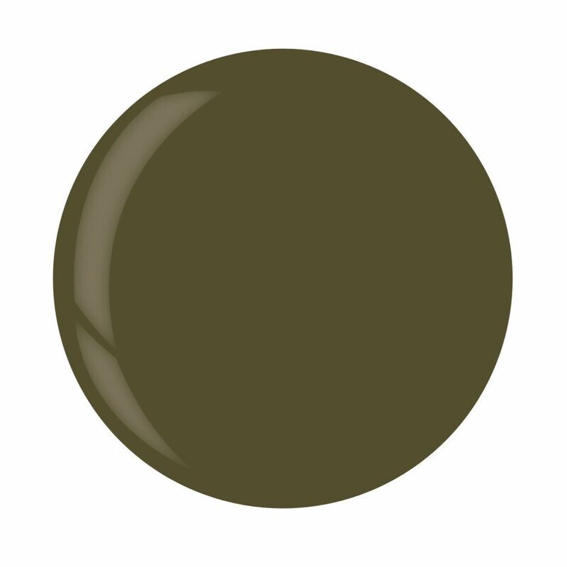 Dip Powder - Branch Out 45 g