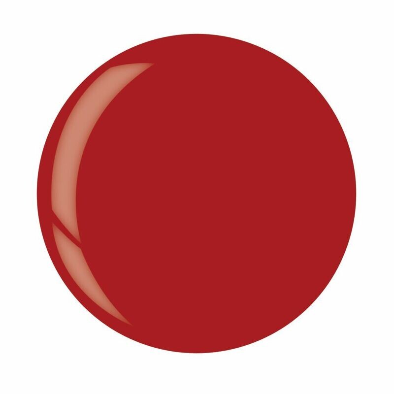 Dip Powder  - High Resolutions 45 g