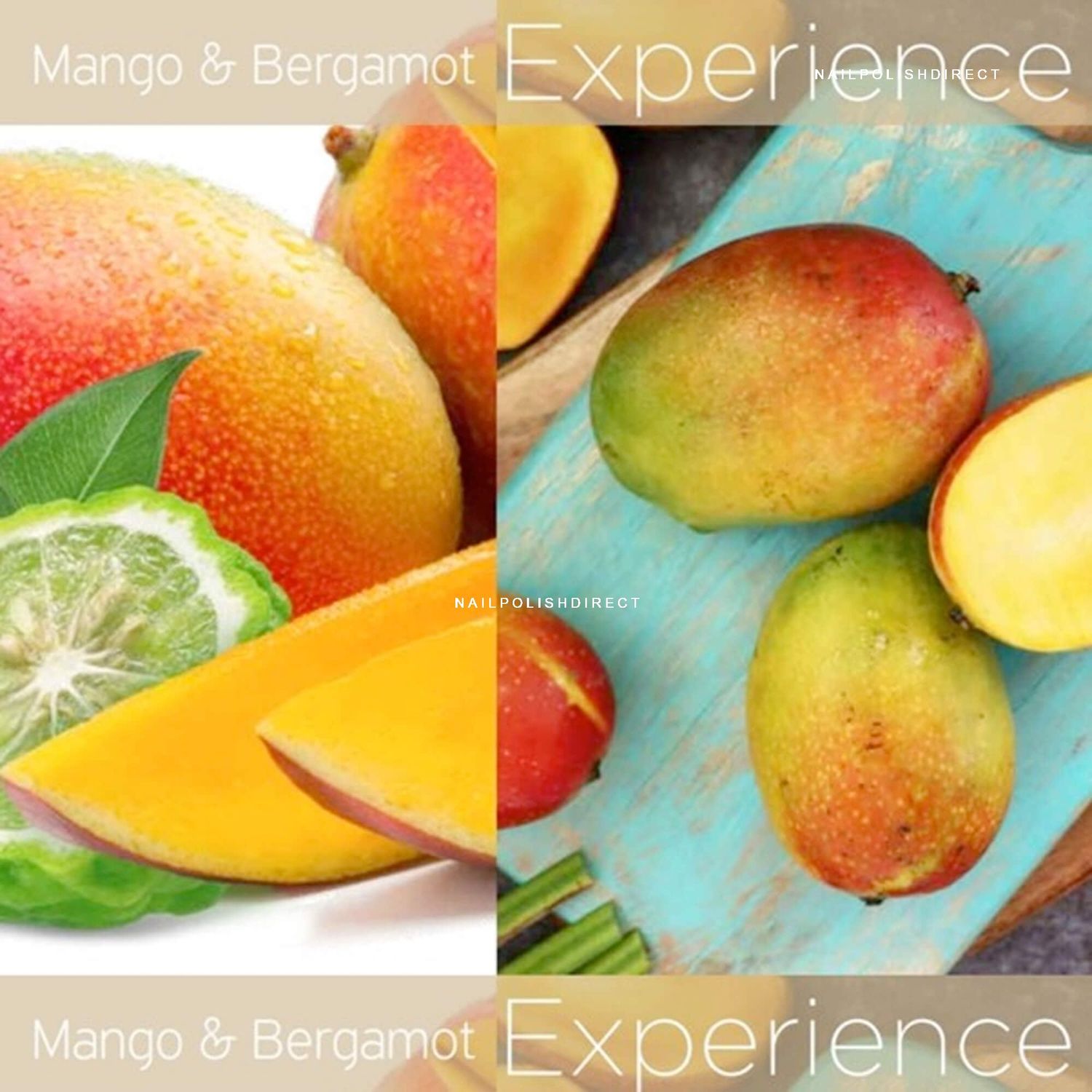 BUTTER BLENDS - Mango &amp; Bergamot 226 g