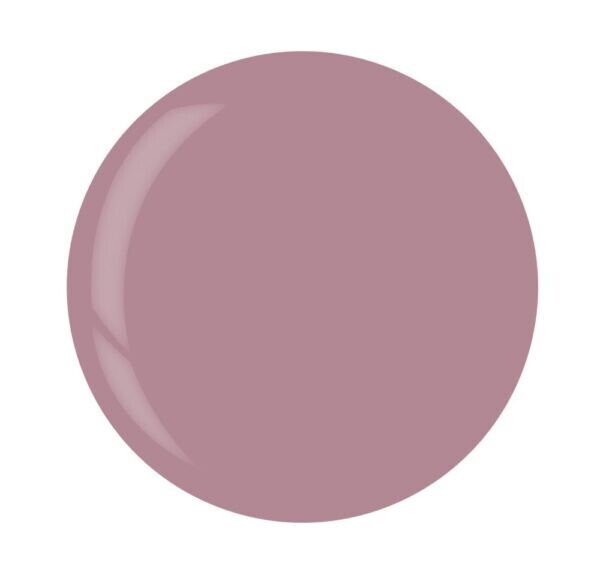 Dip Powder - I Desire 14 g