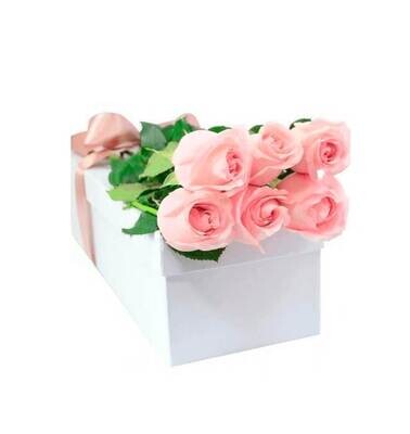 Caja de 6 rosas
