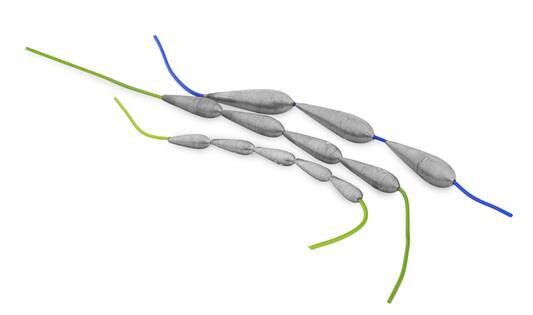 Torpille con Guaina competizione 9gr