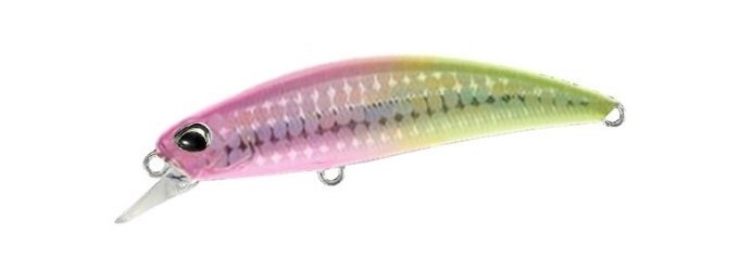 Duo Ryuki 80S Double Pink Chart