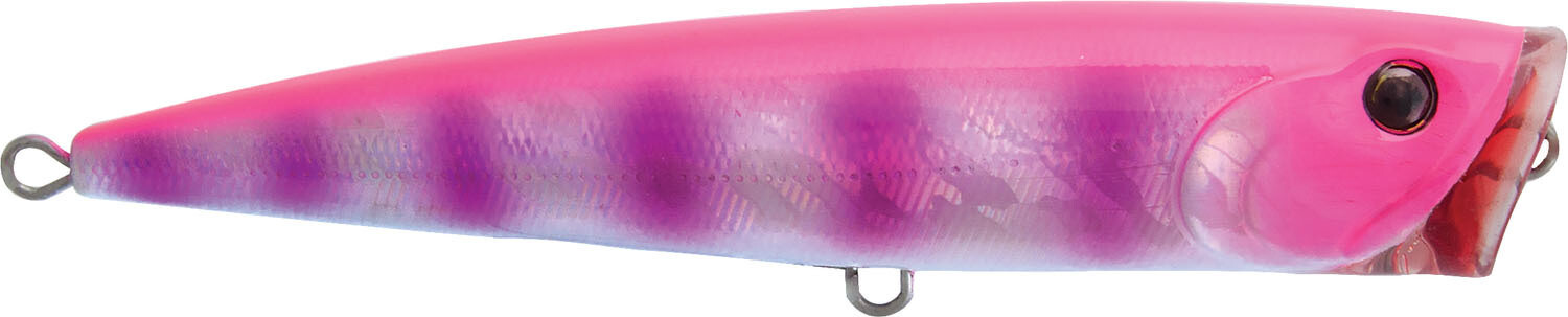 Rapture corsaro 100 ZPK