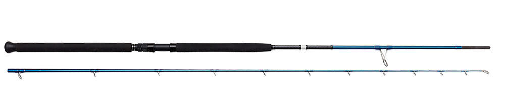 Savage Gear SGS2 Shore Jigging 2.90mt - 20/80gr